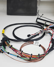 Load image into Gallery viewer, Fueltech Plug And Play
